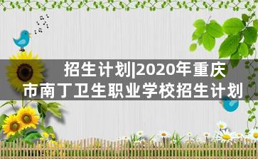 招生计划|2020年重庆市南丁卫生职业学校招生计划